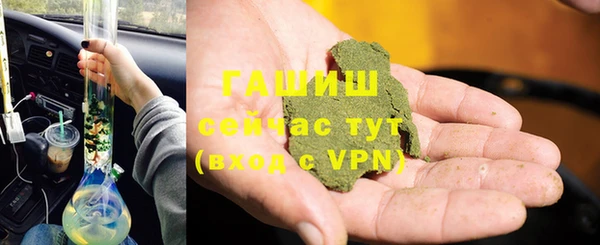 индика Медвежьегорск