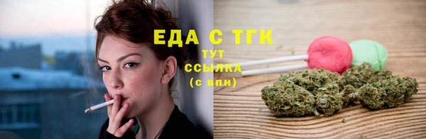 индика Медвежьегорск