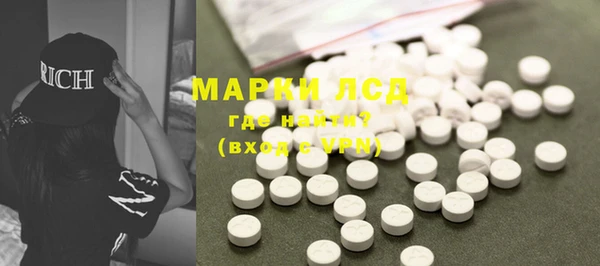 индика Медвежьегорск
