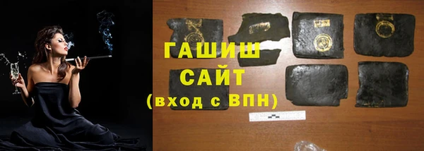 индика Медвежьегорск