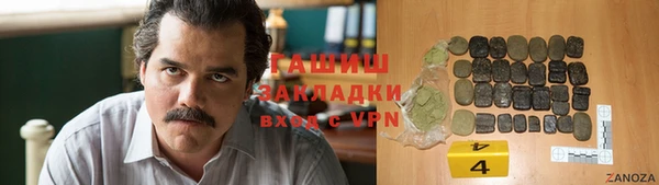 индика Медвежьегорск