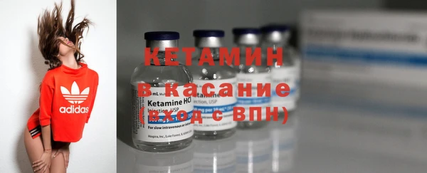 индика Медвежьегорск