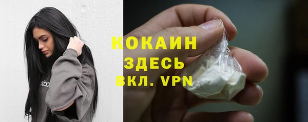 индика Медвежьегорск