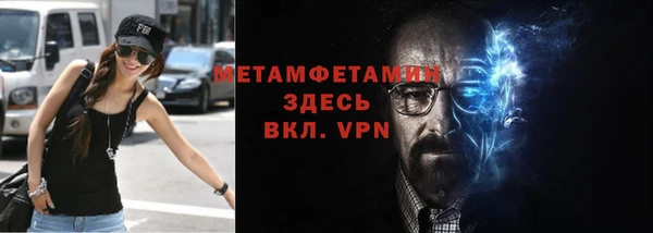 индика Медвежьегорск