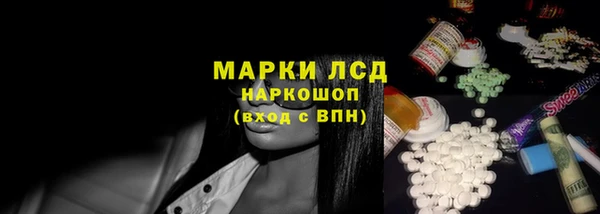 индика Медвежьегорск