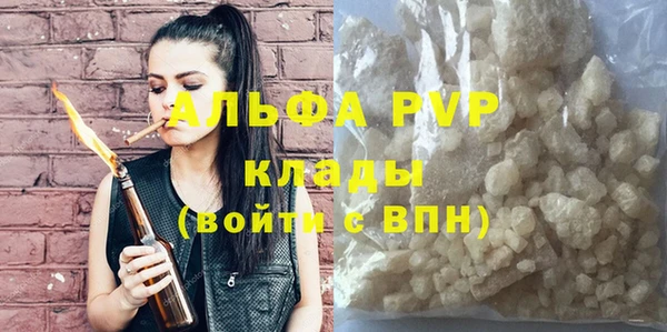 индика Медвежьегорск