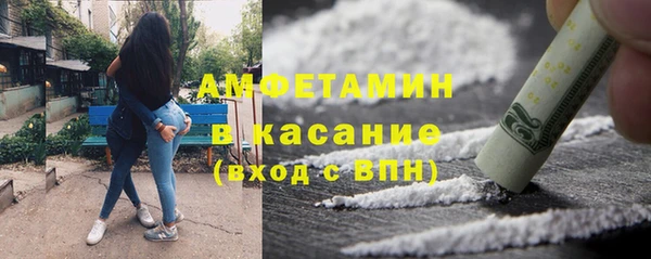 индика Медвежьегорск
