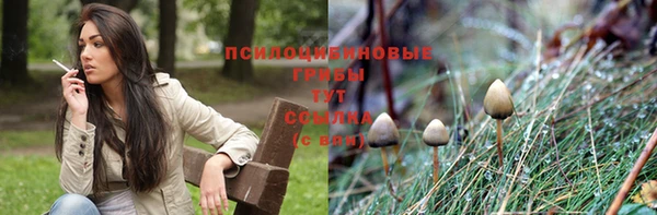 гашишное масло Михайлов