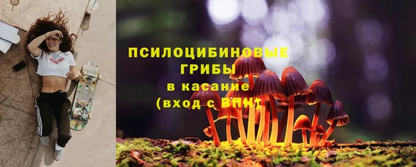 индика Медвежьегорск