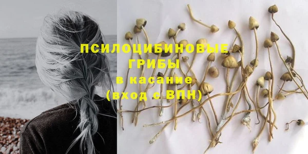 гашишное масло Михайлов
