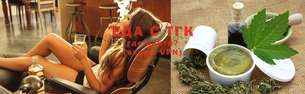 индика Медвежьегорск