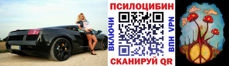 наркотики Великий Новгород kraken онион Галлюциногенные грибы MAGIC MUSHROOMS