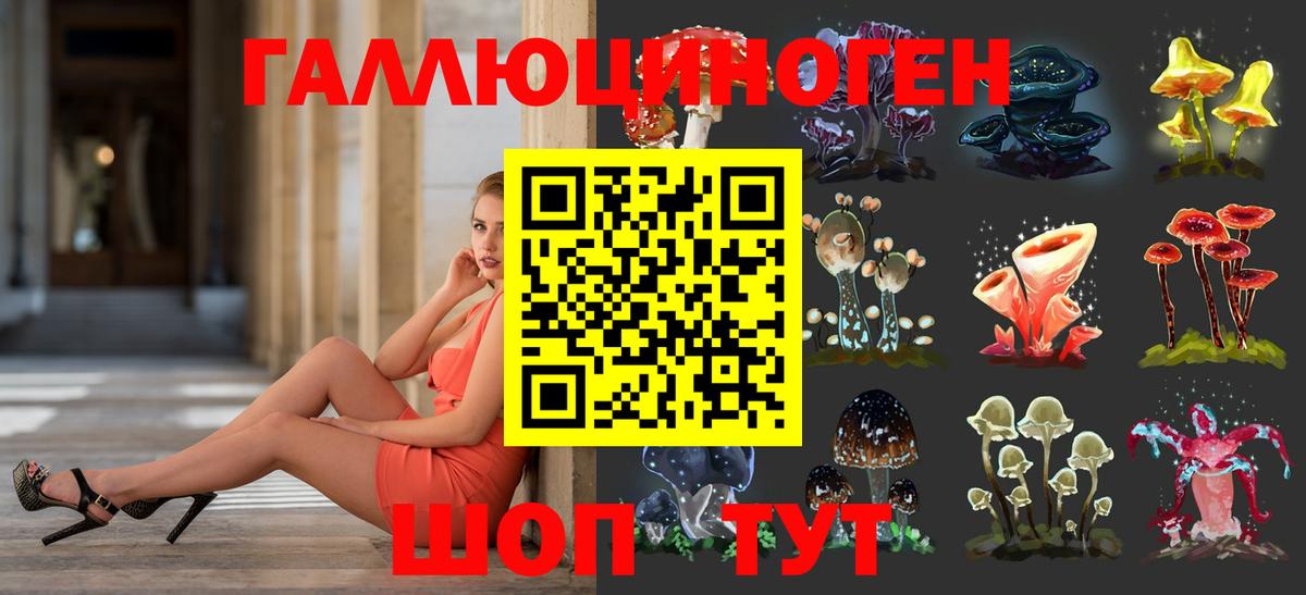 Галлюциногенные грибы Psilocybe  Великий Новгород  Галлюциногенные грибы Psilocybe 