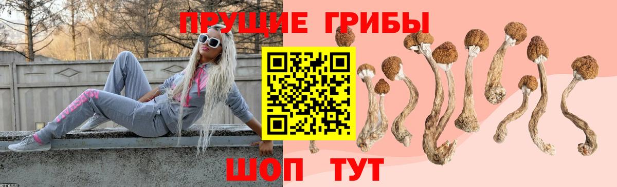 Псилоцибиновые грибы MAGIC MUSHROOMS Великий Новгород