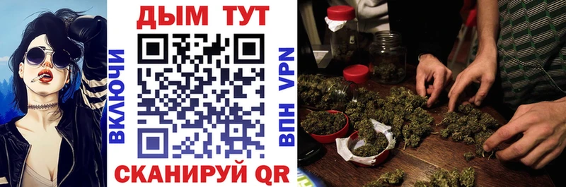 Каннабис планчик где найти наркотики Великий Новгород