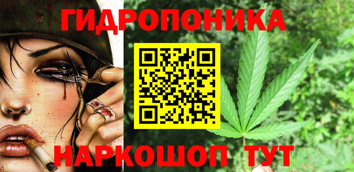 Бошки Шишки семена Великий Новгород